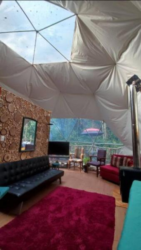 Domo el avellano inmerso en el bosque con tinaja incluida